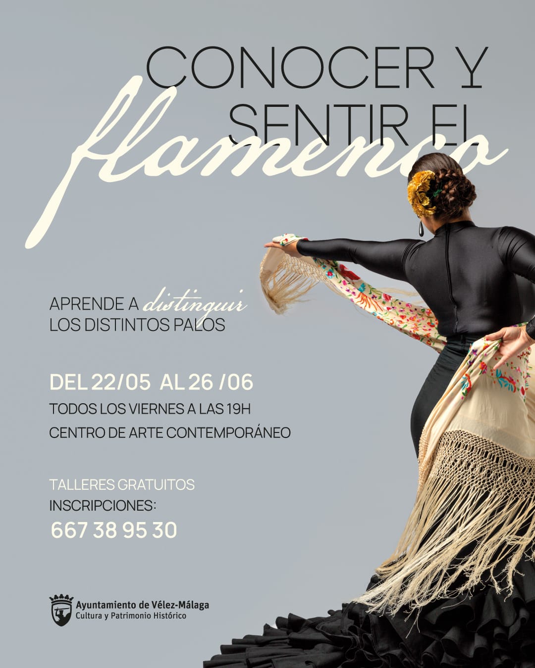 Talleres de Flamenco