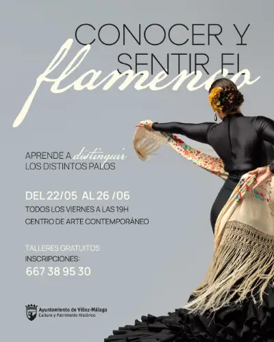 Talleres de Flamenco